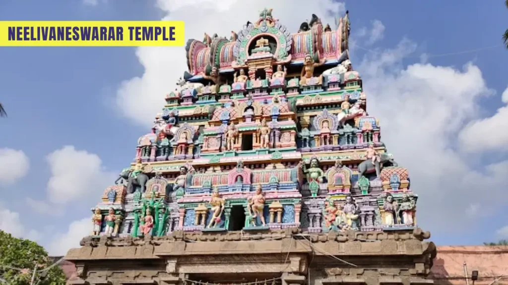 Neelivaneswarar Temple Thiruppaingneeli Tamil Nadu