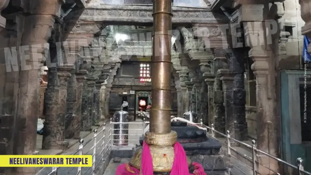 Neelivaneswarar Temple Thiruppaingneeli Tamil Nadu
