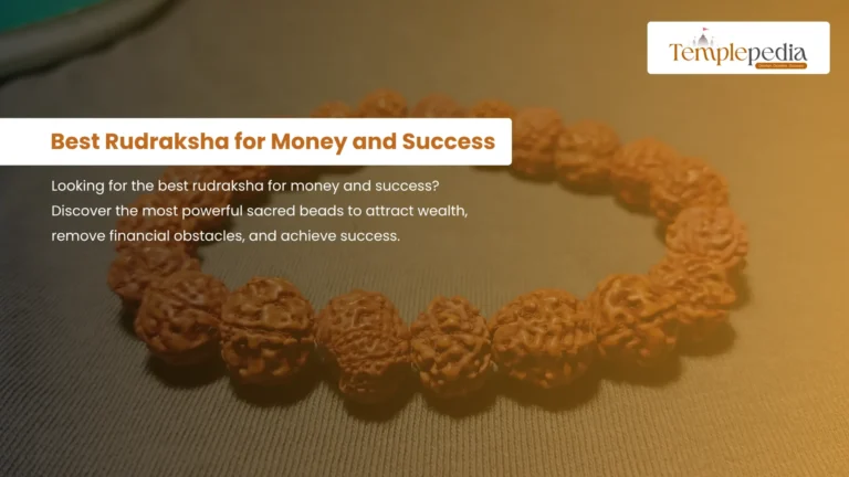 Best Rudraksha for Money and Success: 5 Sacred Beads for Wealth