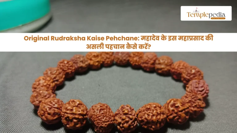Original Rudraksha Kaise Pehchane: महादेव के इस महाप्रसाद की असली पहचान कैसे करें?